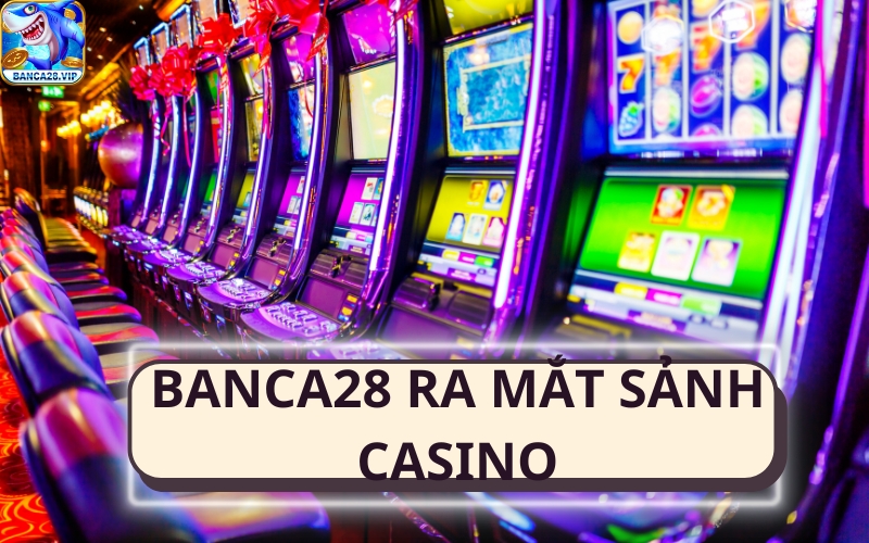 banca28 ra mắt sảnh live casino